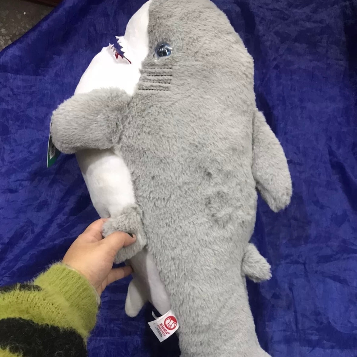 70cm Brand New Fiestaa Plush Fat Shark Pillow Toy – Perfect for Cuddling! 🦈💙