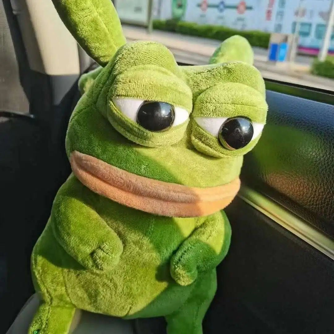 Ugly-Cute Sad Big-Eyed Frog Plush Toy – Adorable Gift 🐸💚